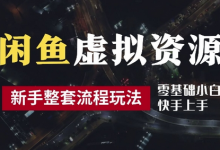 2024最新闲鱼虚拟资源玩法,养号到出单整套流程,多管道收益,每天2小时月收入过万-蜗牛学社