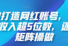 AI打造网红账号,一周收入超5位数,还能矩阵操做-蜗牛学社