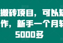 手机搬砖项目,可以矩阵化操作,新手一个月轻松5000多-蜗牛学社