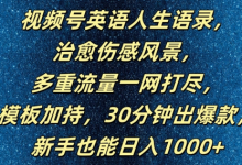 视频号英语人生语录,多重流量一网打尽,模板加持,30分钟出爆款,新手也能日入1000+-蜗牛学社