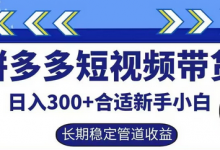 拼多多短视频带货日入300+有长期稳定被动收益,合适新手小白-蜗牛学社
