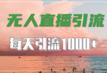抖音快手视频号全平台通用,无人直播引流法,超暴力引流1000+高质量精准创业粉-蜗牛学社