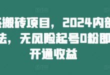 头条搬砖项目,2024内部新玩法,无风险起号0粉即可开通收益-蜗牛学社