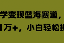 国学变现蓝海赛道,月入1W+,小白轻松操作-蜗牛学社