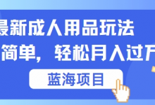 最新成人用品项目玩法,操作简单,动动手,轻松日入几张-蜗牛学社