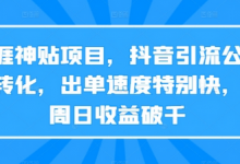 天涯神贴项目,抖音引流公众号转化,出单速度特别快,一周日收益破千-蜗牛学社