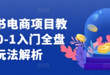 小红书电商项目教程,0-1入门全盘玩法解析-蜗牛学社
