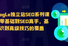 谷歌google独立站SEO系列课程,从零基础到SEO高手,基础知识到高级技巧的覆盖-蜗牛学社
