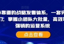 2024靠谱的战略发售体系,一套完整的助IP们,掌握小团队大批量,高效率,0 强销的运营系统-蜗牛学社