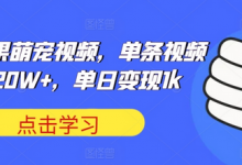 可爱水果萌宠视频，单条视频点赞20W+，单日变现1k-蜗牛学社