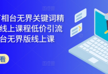 2024万相台无界关键词精准人群线上课程低价引流 ,万象台无界版线上课-蜗牛学社
