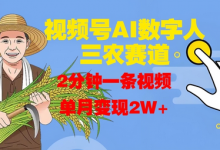 视频号AI数字人玩转三农赛道,2分钟一条视频,单月变现2W+-蜗牛学社