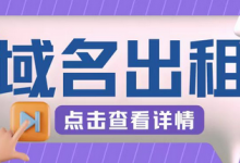 冷门项目,域名出租玩法,简单粗暴适合小白-蜗牛学社