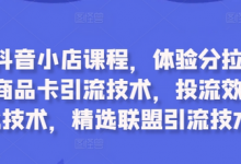 最新抖音小店课程,体验分拉升技术,商品卡引流技术,投流效果优化技术,精选联盟引流技术-蜗牛学社