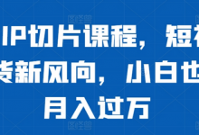 明星IP切片课程,短视频带货新风向,小白也能月入过万-蜗牛学社