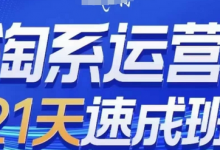 淘系运营21天速成班(更新24年10月),0基础轻松搞定淘系运营,不做假把式-蜗牛学社