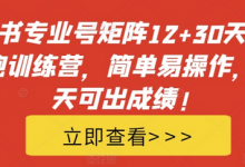 小红书专业号矩阵12+30天引流陪跑训练营,简单易操作,15天可出成绩!-蜗牛学社