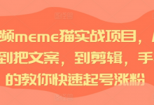 短视频meme猫实战项目,从选素材到把文案,到剪辑,手把手的教你快速起号涨粉-蜗牛学社