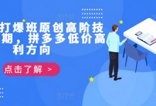 拼多多打爆班原创高阶技术第39期,拼多多低价高利方向-蜗牛学社