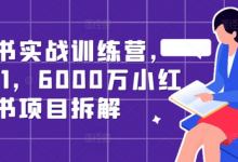 小红书实战训练营,从0到1,6000万小红书项目拆解-蜗牛学社