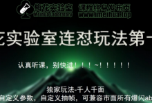 梅花实验室社群专享课视频号连怼玩法第十期课程+第二部分-FF助手全新高自由万能爆闪AB处理-蜗牛学社