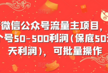 最新微信公众号流量主项目,单天一个号50-500利润(保底50元一天利润),可批量操作-蜗牛学社