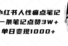 小红书人性痛点笔记,一条笔记点赞3W+,单日变现1k-蜗牛学社