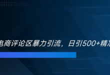 双十一电商评论区暴力引流,日引500+精准创业粉-蜗牛学社