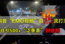 抖音EMO视频自热打法,日引500+“泛垂直”创业粉-蜗牛学社