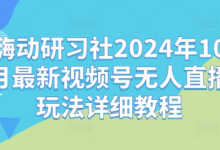 嗨动研习社2024年10月最新视频号无人直播玩法详细教程-蜗牛学社