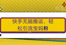 快手无脑搬运,轻松引流宝妈粉,纯小白轻松上手-蜗牛学社