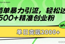 简单暴力引流，轻松达到日引500+精准创业粉，单日变现2k-蜗牛学社