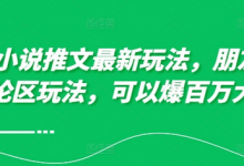 10月小说推文最新玩法，朋友圈图文评论区玩法，可以爆百万大流量-蜗牛学社