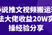 小说推文视频搬运玩法大佬收益20W实操经验分享-蜗牛学社