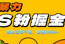 单人单机日引千粉，变现1k+，S粉流量掘金计划攻略-蜗牛学社