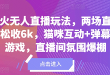 爆火无人直播玩法,两场直播轻松收6k,猫咪互动+弹幕小游戏,直播间氛围爆棚-蜗牛学社