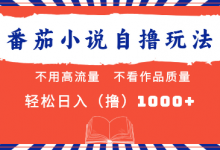 番茄小说最新自撸玩法,不看流量,不看质量,日入1000+-蜗牛学社