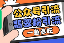公众号利用推荐流量和搜一搜流量引流翡翠粉，一鱼多吃-蜗牛学社
