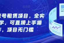 游戏账号租赁项目,全实操教学,可直接上手操作,项目无门槛-蜗牛学社