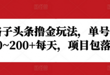 野路子头条撸金玩法，单号收益20~200+每天，项目包落地-蜗牛学社