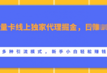 流量卡线上独家代理掘金,日入1k+ ,多种引流模式,新手小白轻松上手-蜗牛学社