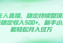 DY无人直播,稳定持续型项目,单号稳定收入500+,新手小白都能轻松月入过万-蜗牛学社