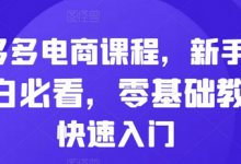 拼多多电商课程,新手纯小白必看,零基础教学快速入门-蜗牛学社