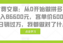 某付费文章：从0开始做拼多多18天收入86600元，客单价600块稳定日销过万，我都做对了什么?-蜗牛学社