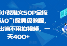 最新小说推文SOP全流程，从0~1保姆级教程，不用出镜不用拍视频，一天400+-蜗牛学社