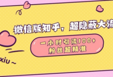 微信版知乎，超隐蔽流量入口1小时引流100人，粉丝质量超高-蜗牛学社