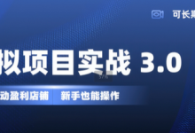 虚拟项目实战3.0，打造自动盈利店铺，可长期操作投入低，新手也能操作-蜗牛学社