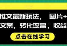 小说推文最新玩法， 图片+搭配小说文案，转化率高，收益稳定-蜗牛学社