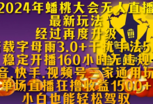 2024年蟠桃大会无人直播最新玩法，稳定开播160小时无违规，抖音、快手、视频号三家通用玩法-蜗牛学社