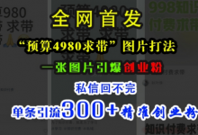 小红书“预算4980带我飞”图片打法，一张图片引爆创业粉，私信回不完，单条引流300+精准创业粉-蜗牛学社